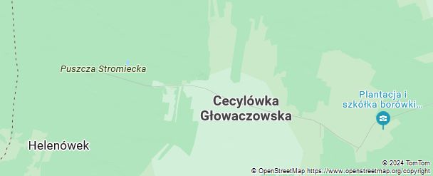 Cecylówka, Mazowieckie, Poland