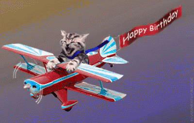 Image result for flying birthday gifs