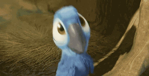 Résultat d’images pour GIF Oiseau Bleu