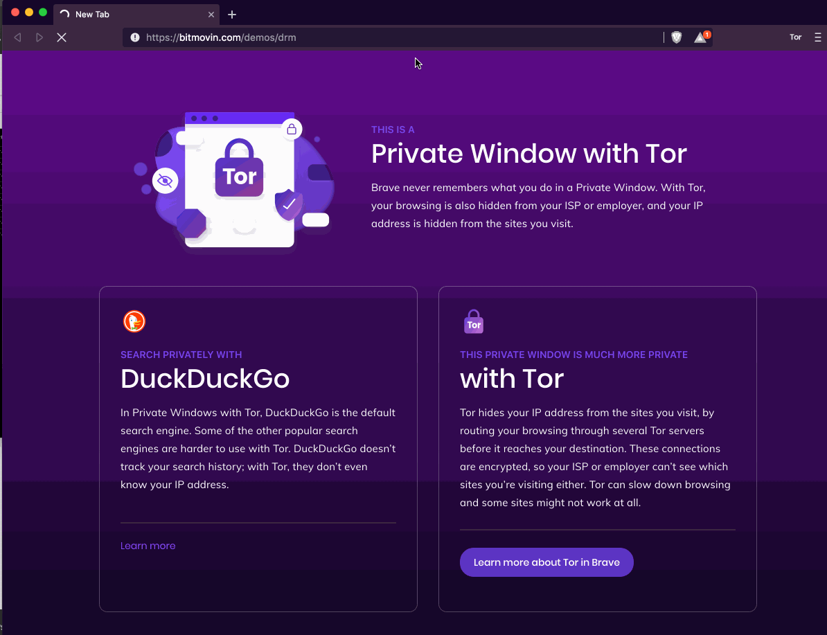 tor browser скрывает ли провайдера gidra