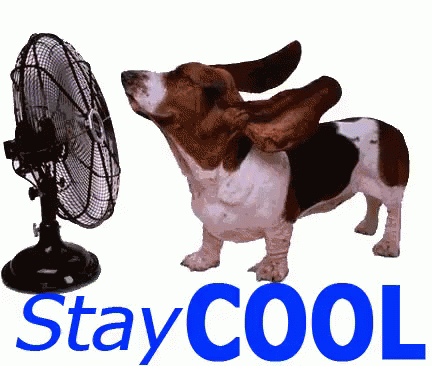 Image result for cartoon of keeping cool