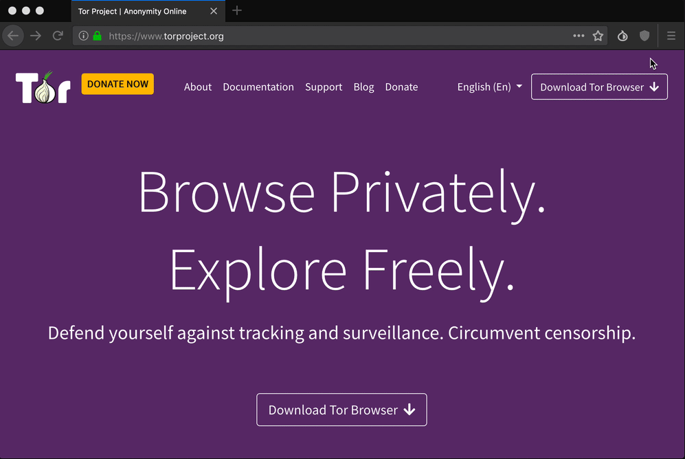 anonymous web browser tor гирда