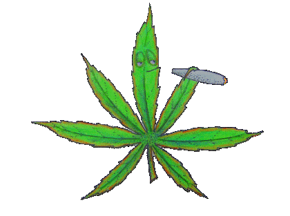 Mlg марихуана в каких штатах легализована марихуана