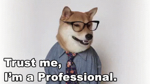 Image result for trust the professional gif