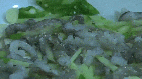 octopus gif live Eating