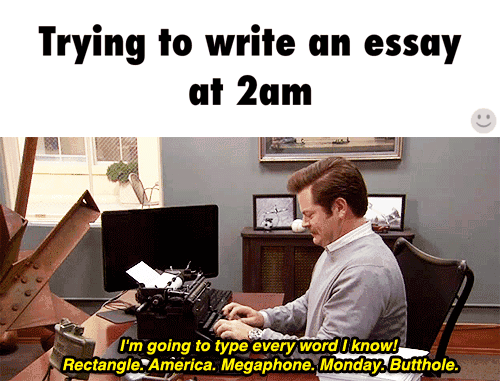 Write an essay on my school