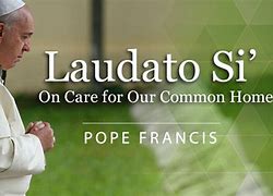 Image result for laudato si