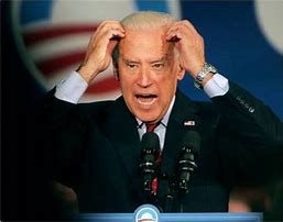 Image result for images of biden yelling at crowd