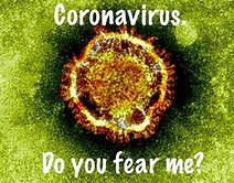 Image result for the coronavirus