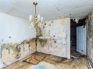 Image result for housing affected by damp and mould picture