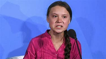 Image result for images of angry greta thunberg